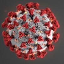 2050 feiern wir Corona-Feiertag